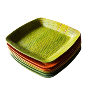 Bagasse Sugarcane 9-Inch Square Plates