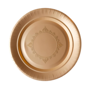 Heavy-Duty 10-Inch Thali Plates