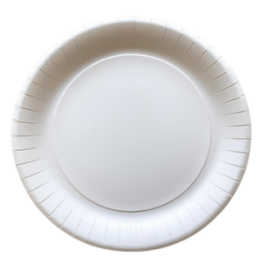 Premium White 6-Inch Party Plates